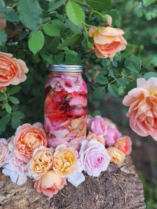 Rose Infused Vinegar Hair Rinse