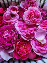 Load image into Gallery viewer, Rose Infused Witch Hazel Toner