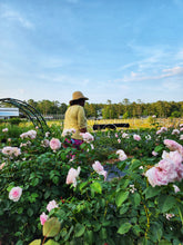 Load image into Gallery viewer, Cut Flower Club - Spring 2024