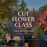 Cut Flower Class