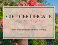 Classes & Workshops Gift Certificate