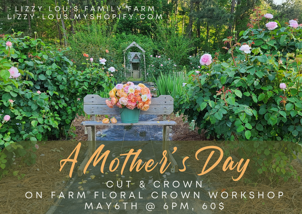 A Mothers Day Cut & Crown Workshop May 6th @ 6pm