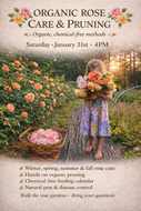 Organic Rose Care & Pruning